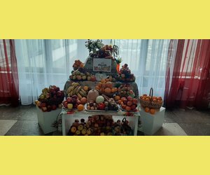 День подяки 24 11 2022 року